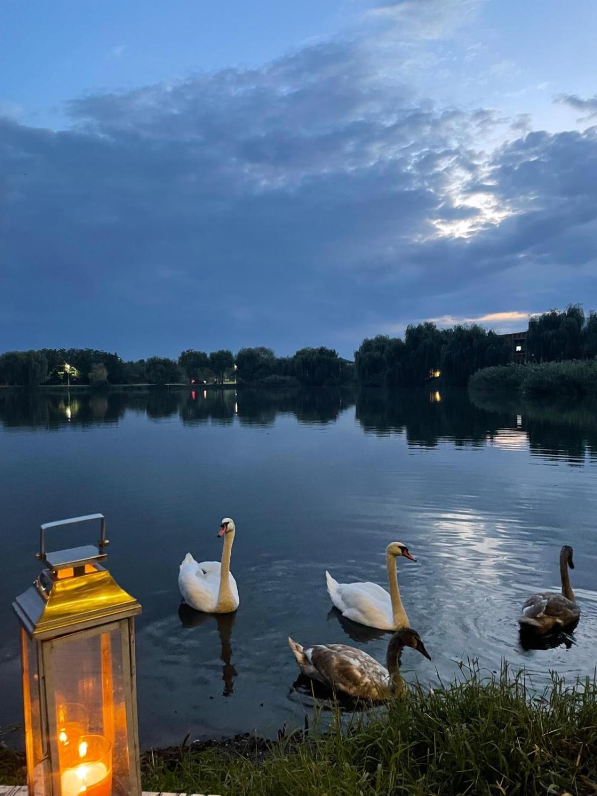 Therme - Corbeanca By The Lake Luxury Villa Εξωτερικό φωτογραφία